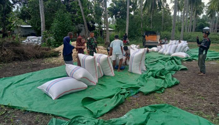 Babinsa Serap Aspirasi Petani Jagung
