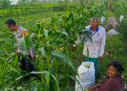 Polsek Kuripan Aktif Edukasi Petani Tanggapi Perubahan Iklim