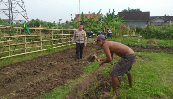 Bhabinkamtibmas Jagaraga Ajak Petani Manfaatkan Lahan Kosong