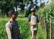 Sinergi Polri-Petani Dorong Swasembada Pangan di Lombok Barat
