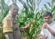 Sinergi Polri dan Petani di Kediri Dukung Swasembada Pangan