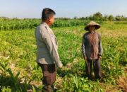 Polri Aktif Motivasi Petani di Dusun Selampang, Lombok Barat