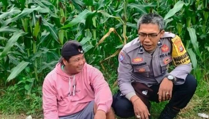 Bhabinkamtibmas Lembar Pererat Silaturahmi, Dorong Produksi Jagung Petani