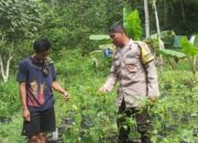 Peran Bhabinkamtibmas dalam Pekarangan Bergizi di NTB