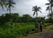 Bhabinkamtibmas Jagaraga Dorong Optimalisasi Lahan Warga