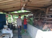 Ketahanan Pangan: Sinergi Polri dan Petani di NTB