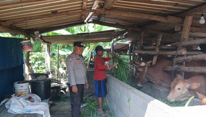 Ketahanan Pangan: Sinergi Polri dan Petani di NTB