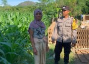 Program Pekarangan Bergizi Disosialisasikan di Dasan Geres oleh Polsek Gerung