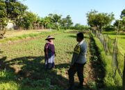 Pemanfaatan Pekarangan, Polsek Lembar Ajak Warga Wujudkan Swasembada