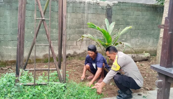 Ketahanan Pangan Dimulai dari Pekarangan: Inisiatif di Dusun Batusamban