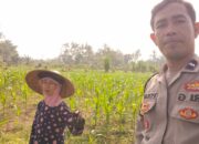 Bhabinkamtibmas Lembar Ajak Petani Penimbung Wujudkan Kemandirian Pangan