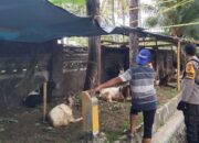 Ketahanan Pangan Dimulai dari Pekarangan: Inisiatif Bhabinkamtibmas Batulayar Barat