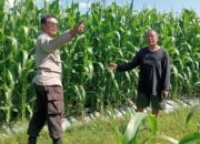 Sinergi Polri-Petani Dukung Ketahanan Pangan di Lombok Barat