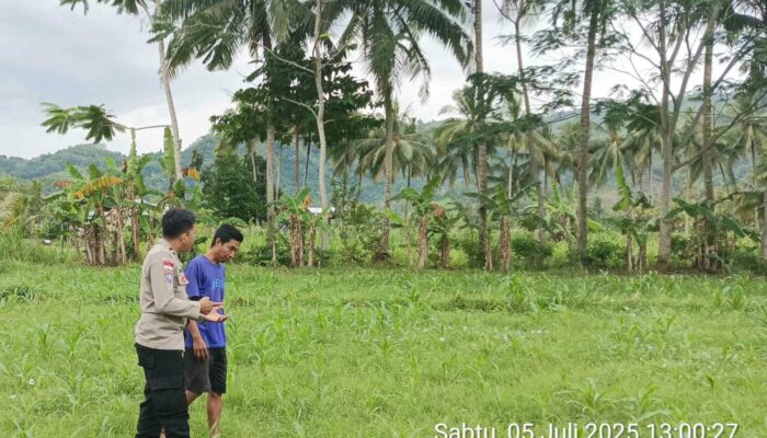 Sinergi Bhabinkamtibmas dan Petani Cendi Manik Dukung Ketahanan Pangan Lokal