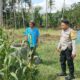 Perkuat Ketahanan Pangan, Polisi Bina Petani Jagung di Sekotong