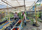 Warga Dusun Tempit Didorong Tanam Cabai dan Tomat, Polri Aktif Dukung Kemandirian Pangan