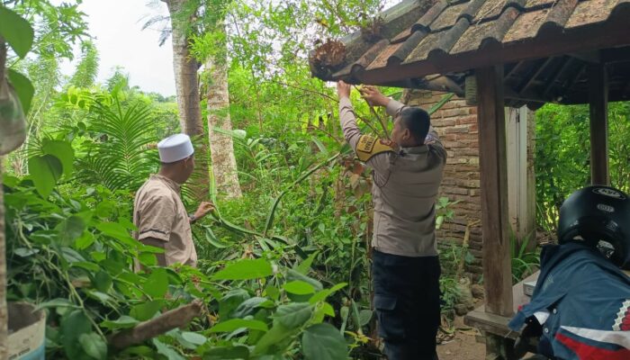 Polsek Sekotong Perkuat Silaturahmi dan Ketahanan Pangan di Mertak Mas, Lombok Barat