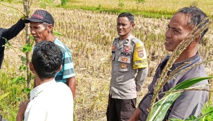 Polsek Kediri Kembangkan Program Ketahanan Pangan di Desa Rumak, Lombok Barat