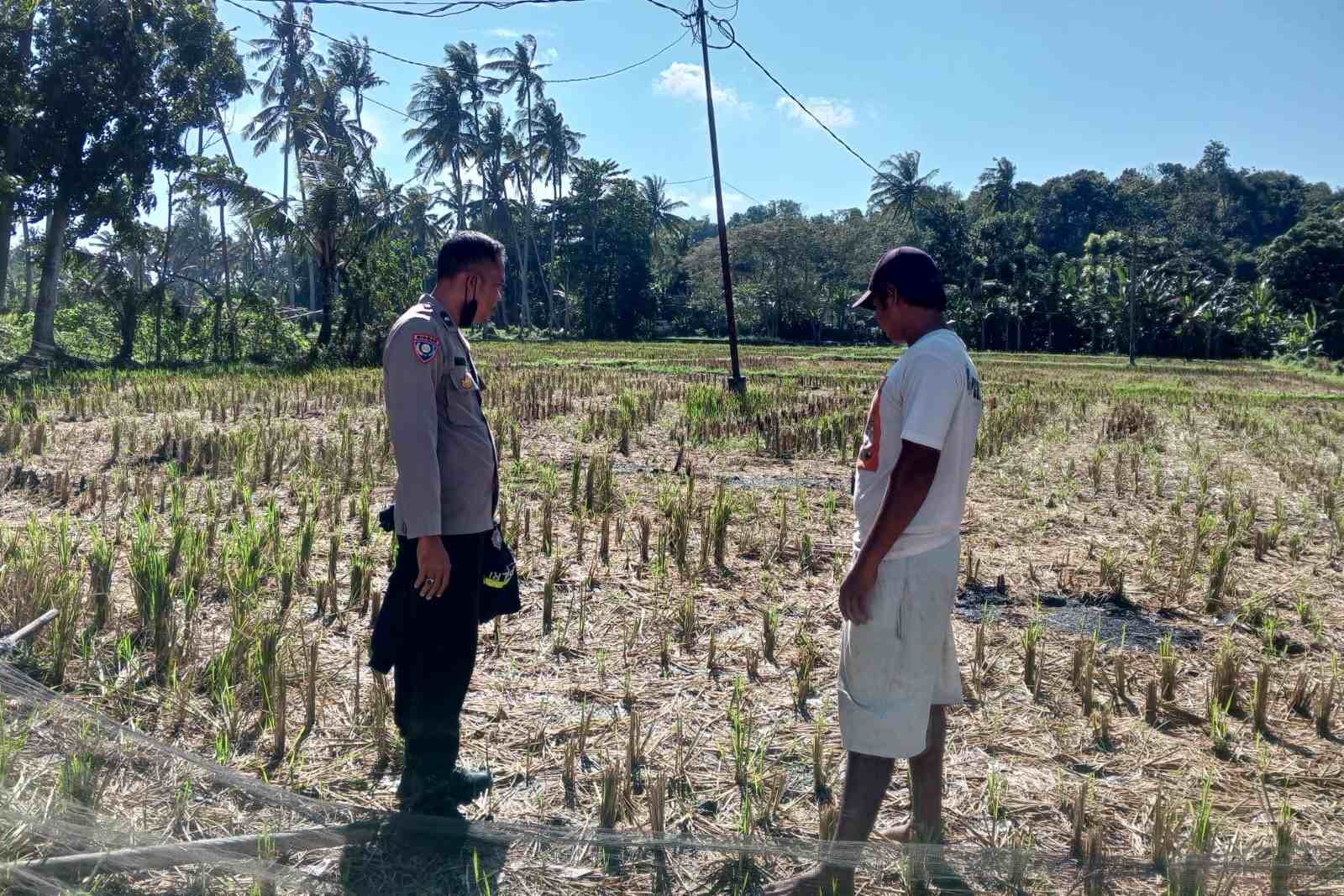 Polri dan Warga Kuripan Bangun Ketahanan Pangan dari Rumah