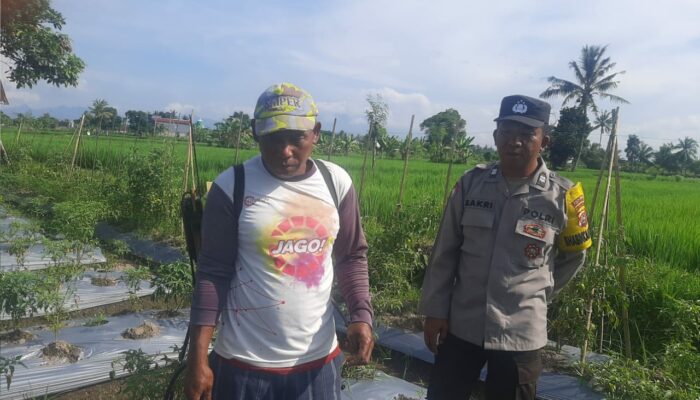 Sinergi Polri dan Petani Montong Are Percepat Ketahanan Pangan Nasional