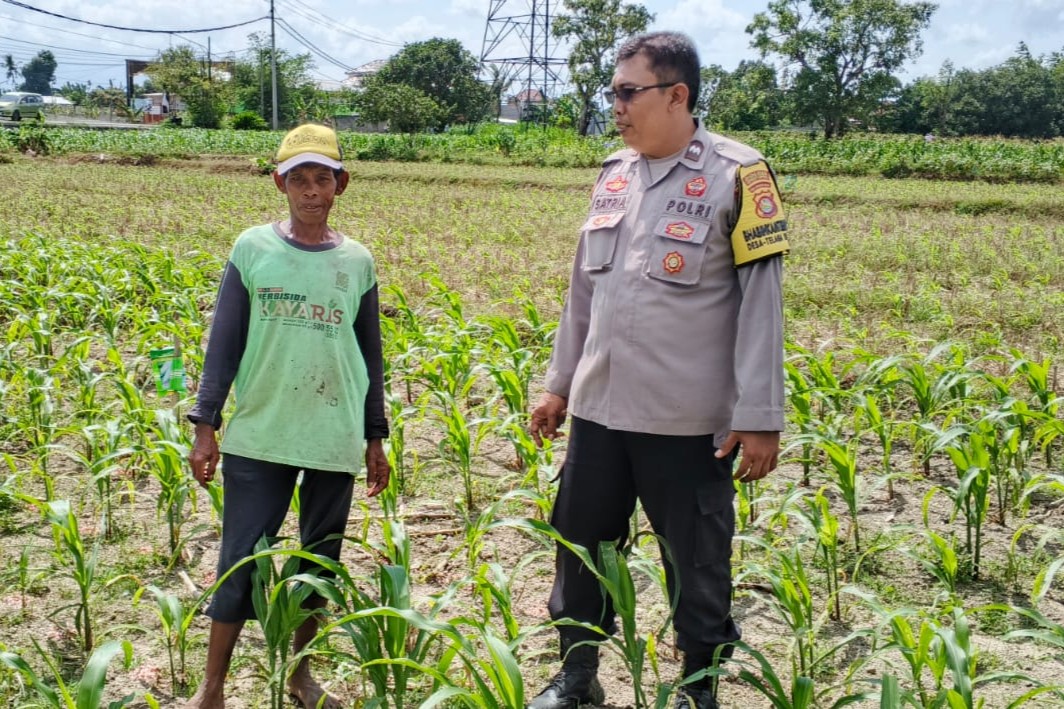 Bhabinkamtibmas Telagawaru Dorong Ketahanan Pangan Warga Paok Kambut