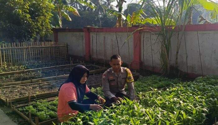 KWT Dusun Pemangket Manfaatkan Pekarangan, Polsek Kuripan Beri Dukungan Penuh