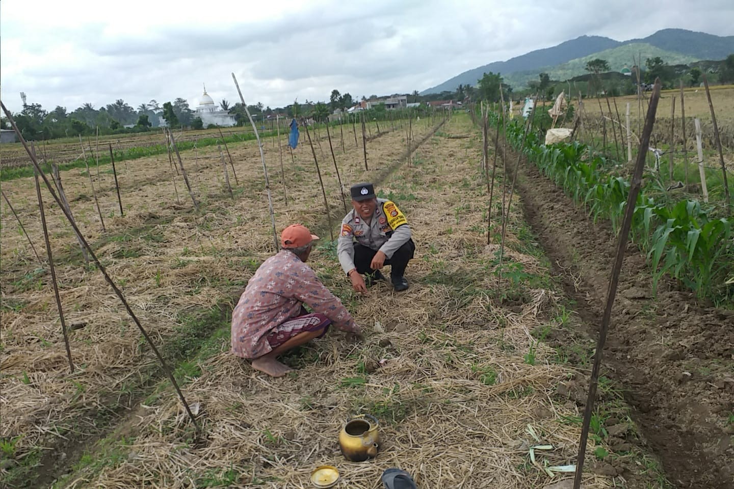 Ketahanan Pangan Dimulai dari Desa Bhabinkamtibmas Jagaraga Dorong Pemanfaatan Lahan Pekarangan