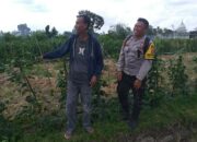 Dusun Beremi Jadi Contoh Pemanfaatan Pekarangan, Polri Dukung Ketahanan Pangan Lokal
