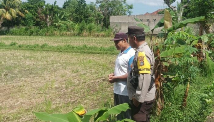 Bhabinkamtibmas Desa Sandik Dorong Ketahanan Pangan Keluarga