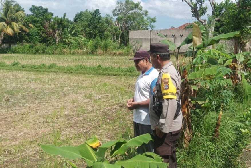 Ketahanan Pangan Dimulai dari Pekarangan, Inisiatif Bhabinkamtibmas di Dusun Dawung