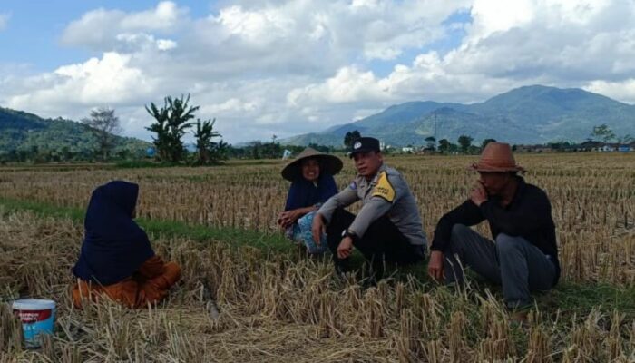 Ketahanan Pangan Dimulai dari Desa: Inisiatif Bhabinkamtibmas Babussalam