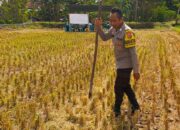 Polisi Ajak Warga Kuripan Utara Manfaatkan Pekarangan untuk Swasembada Pangan