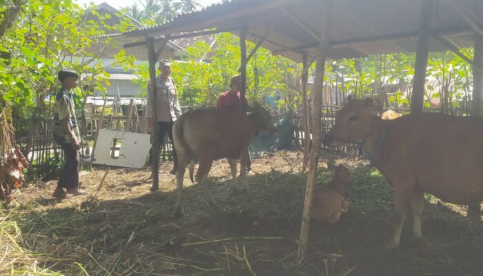 Polri dan Warga Sekotong Kolaborasi Kembangkan Peternakan