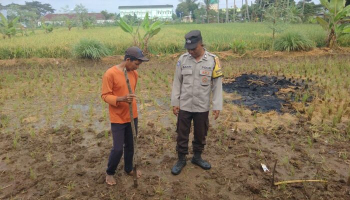 Polri Aktif Dampingi Petani di Tengah Cuaca Ekstrem Lombok Barat