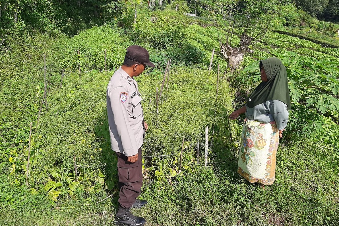 Polsek Kediri Dorong Ketahanan Pangan Warga Montong Are