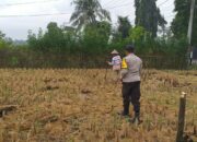 Sinergi Polri dan Warga Jagaraga dalam Gerakan Swasembada Pangan Keluarga