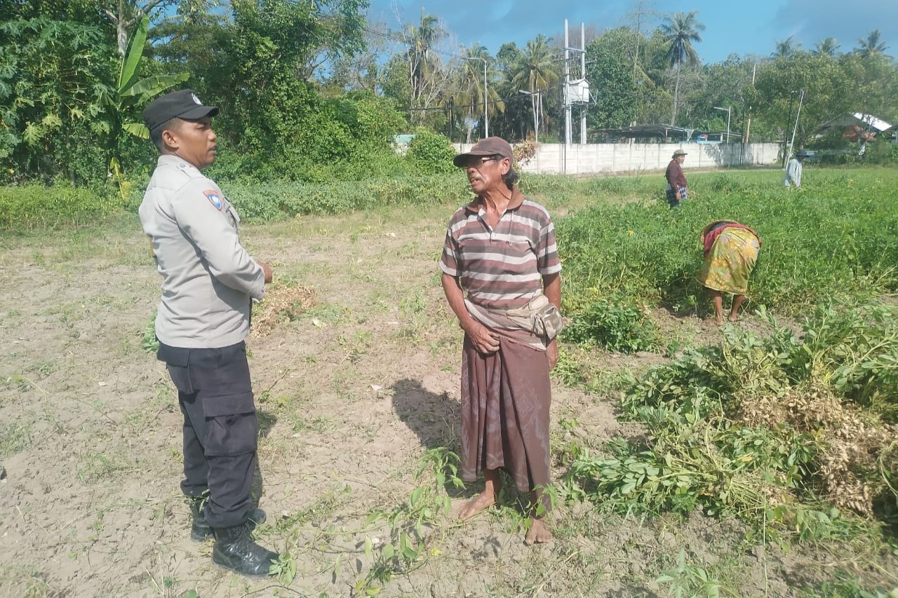 Sinergi TNI-Polri Dukung Ketahanan Pangan di Desa Taman Ayu, Gerung