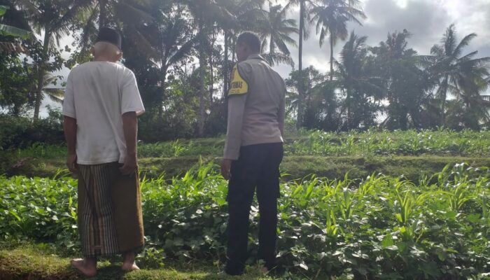 Polisi Ajak Warga Mareje Tanam Pangan Sendiri