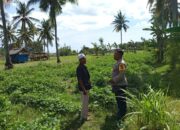 Bhabinkamtibmas Sekotong Motivasi Petani Manfaatkan Pekarangan untuk Pangan