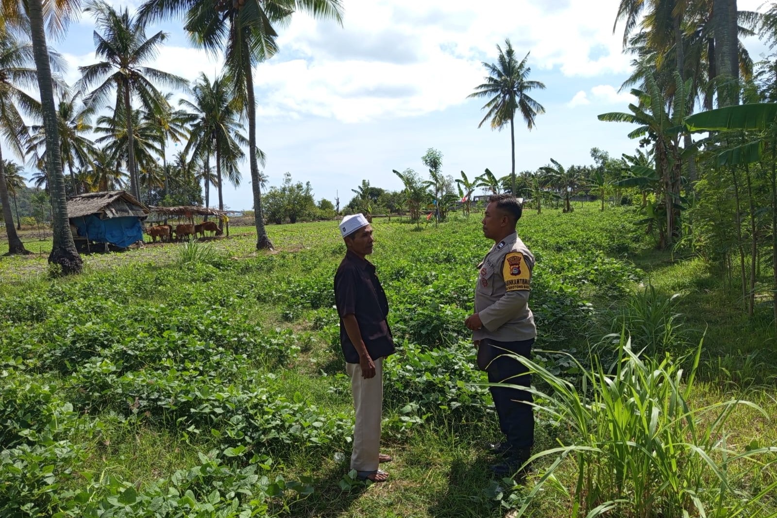 Kunjungi Petani di Sekotong, Polri Tekankan Pemanfaatan Lahan Demi Kedaulatan Pangan