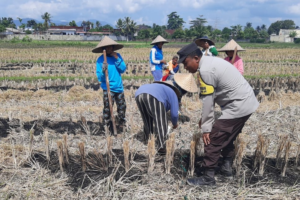 Ketahanan Pangan Dimulai dari Desa: Langkah Humanis Bhabinkamtibmas Montong Are