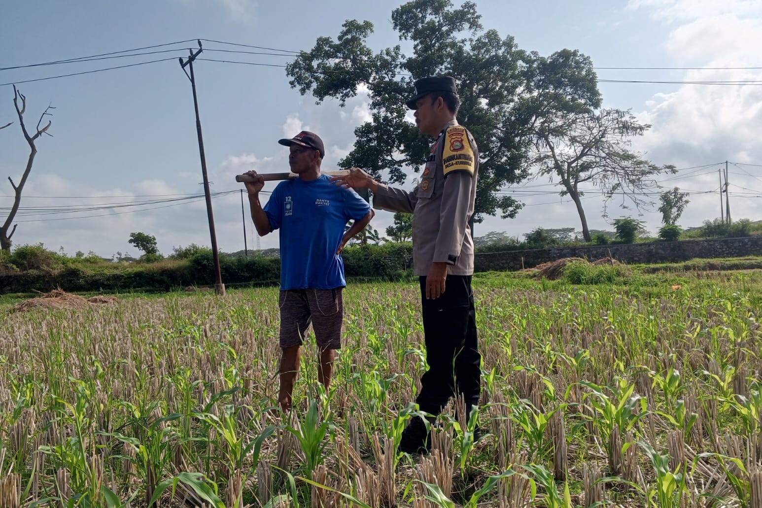 Pekarangan Jadi Lumbung Keluarga: Polri dan Warga Desa Kuripan Wujudkan Pangan Tangguh