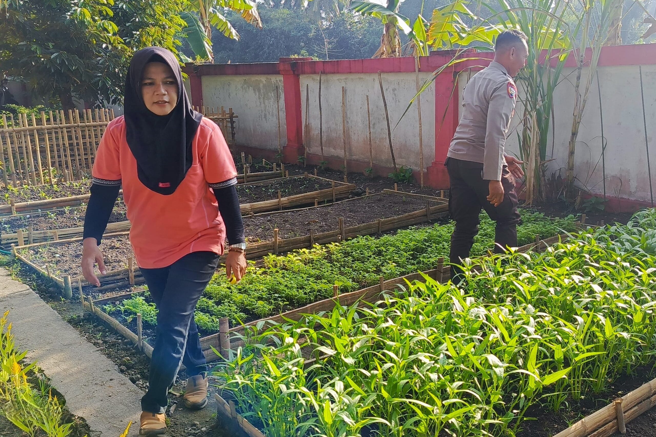 Sinergi Polri dan Masyarakat Kuripan Utara: Dari Pekarangan Menuju Ketahanan Pangan Keluarga