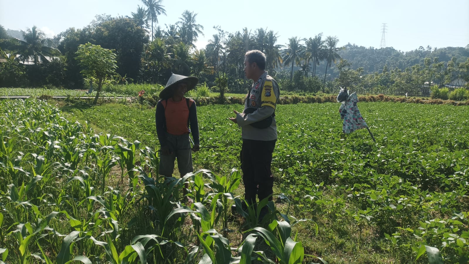 Bhabinkamtibmas Sandik Ajak Warga Dusun Tato Barat Wujudkan Swasembada Pangan