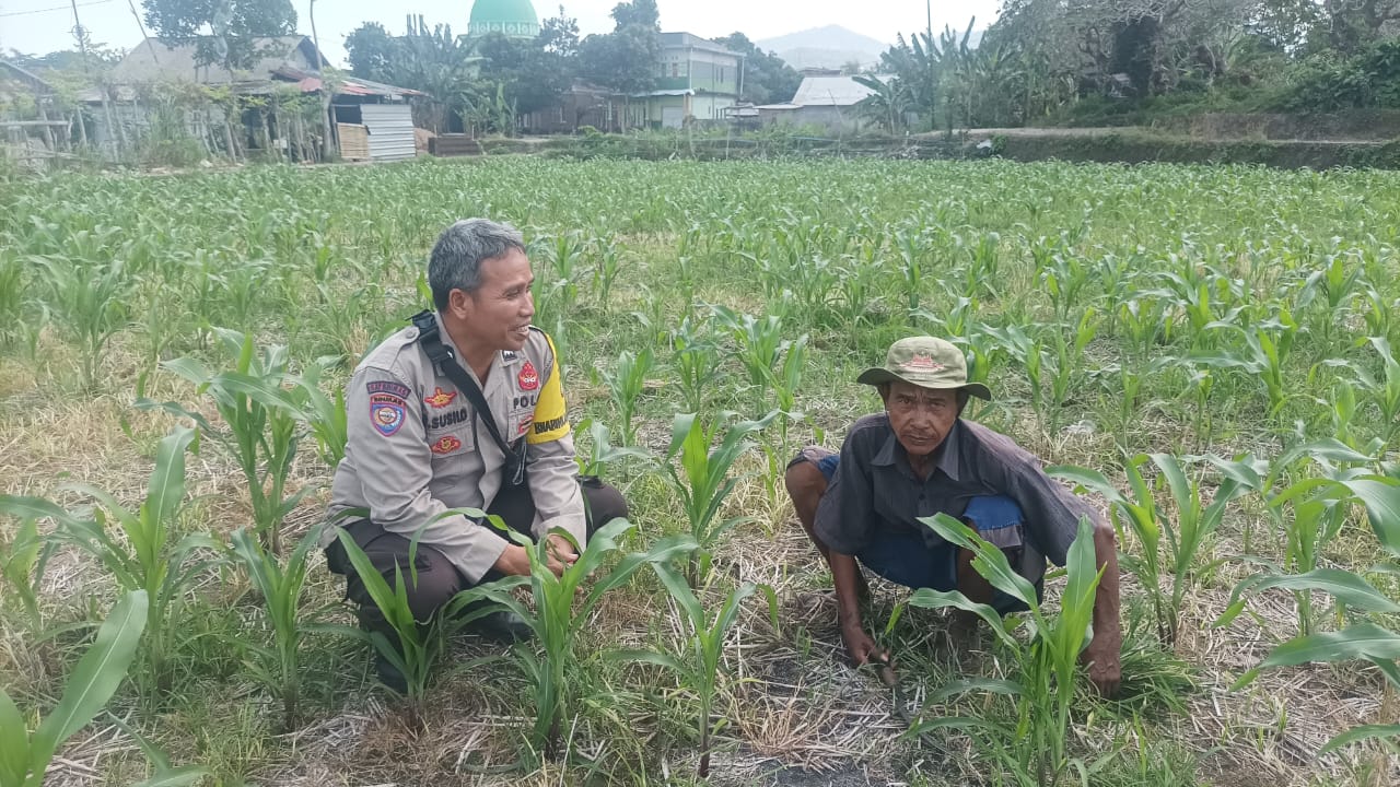 Dorong Ketahanan Pangan, Bhabinkamtibmas Desa Sandik Ajak Warga Manfaatkan Pekarangan