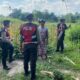 Polisi Lakukan Patroli Tanam Jagung di Dusun Kelebut untuk Dukung Swasembada Pangan