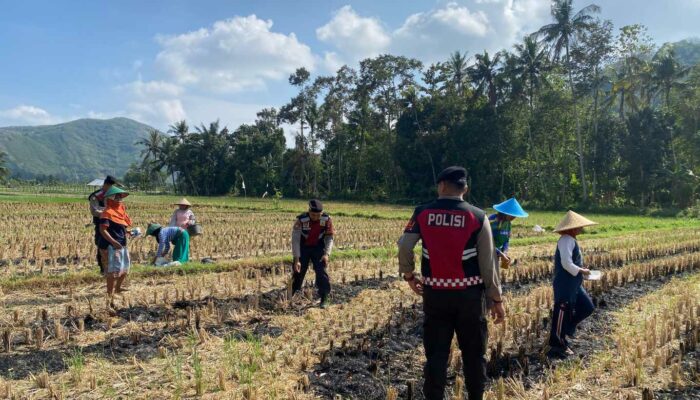 Patroli Sat Samapta di Kebon Ayu Perkuat Swasembada Pangan