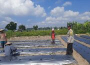 Bhabinkamtibmas Kediri Ajak Warga Montong Are Manfaatkan Lahan Kosong