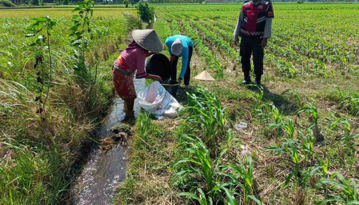 Polres Lombok Barat Kawal Ketahanan Pangan di Desa Kuripan