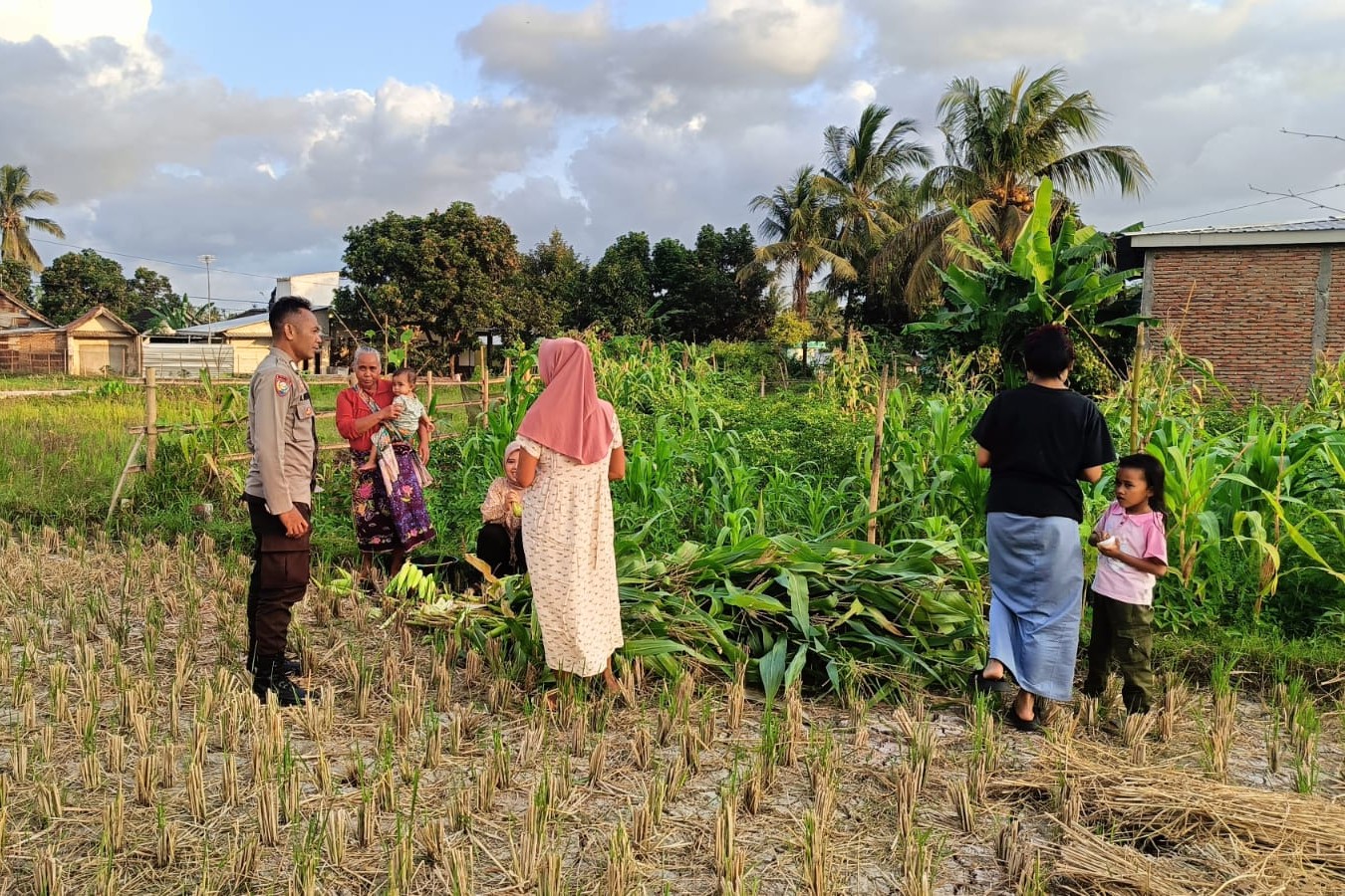 Polsek Kuripan Dukung Petani Jagung di Kumbung Barat Wujudkan Ketahanan Pangan